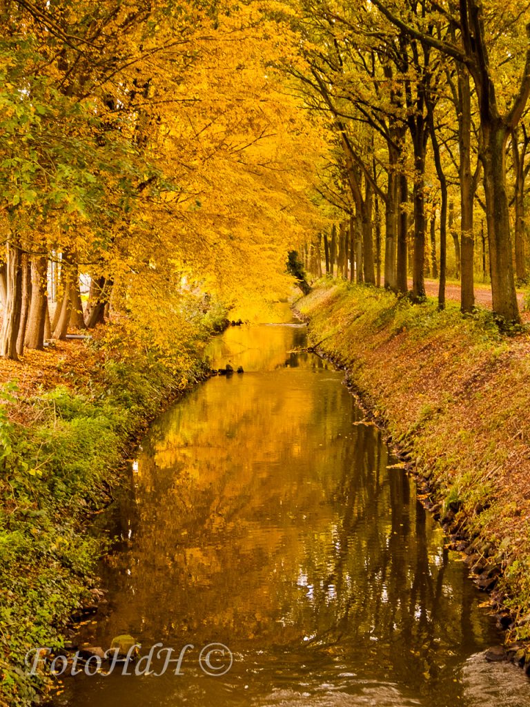 Herfst, St. Michielsgestel, Zegenwerp, natuur